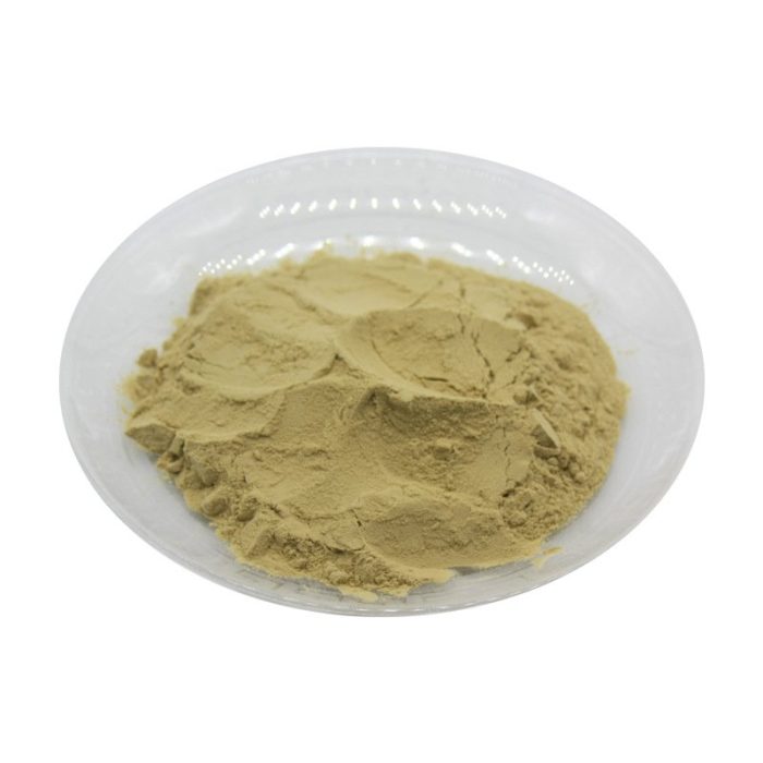 Экстракт зеленых кофейных зерен