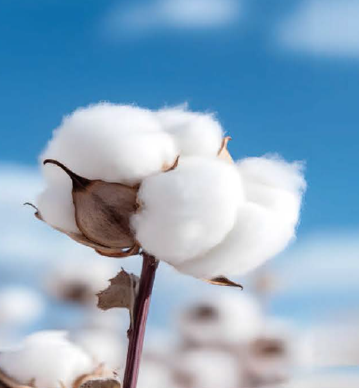 SEBS YH-507/567/YH-505 YH-506/506H Серия ES SEBS SEBS YH-520 SEBS YH-535