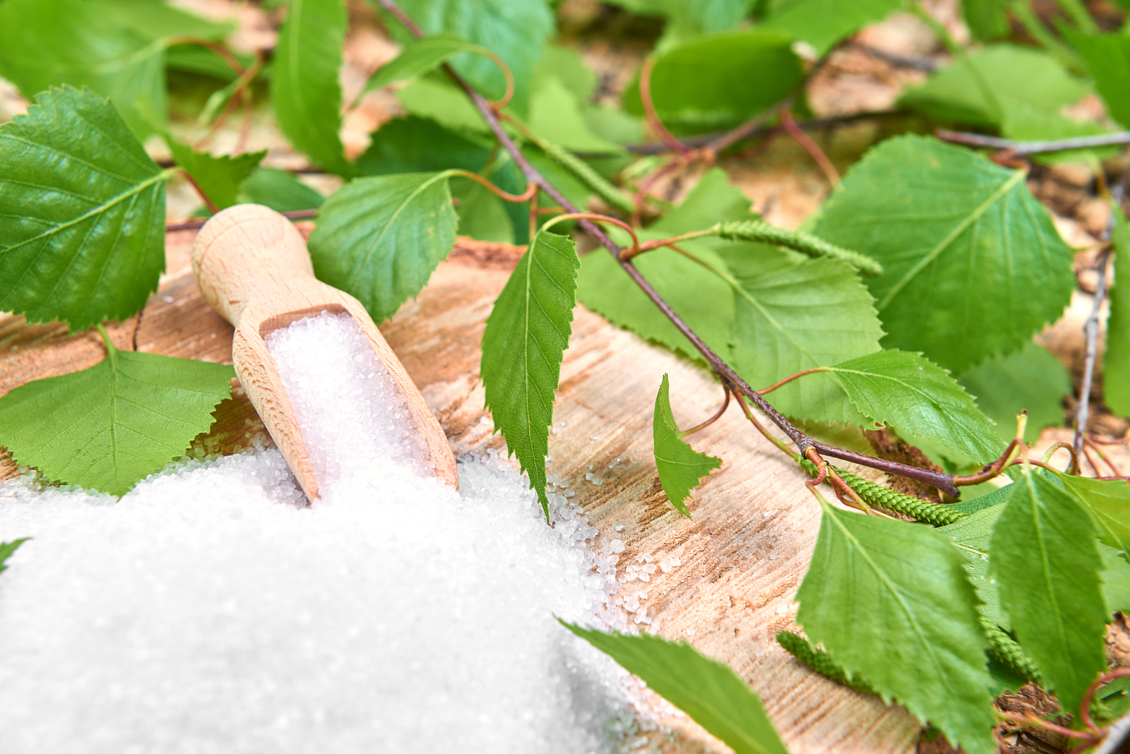 Натуральная камфора