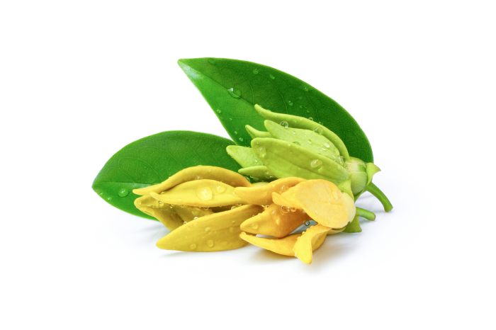 Пигментный зеленый 50 (голубоватый кобальтовый зеленый 5550A)/P.G.50 CAS № 68186-85-6